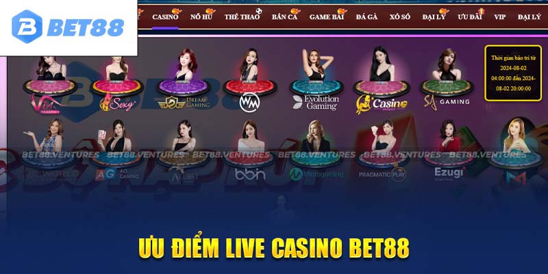 Lợi ích nhận về khi tham gia Live casino nhà cái Bet88