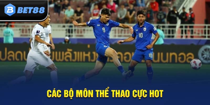 Nhiều bộ môn thể thao thú vị